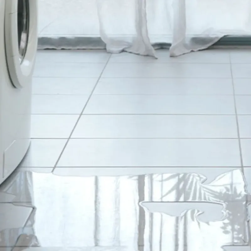 Appliance Leak Cleanup in Randolph County, MO