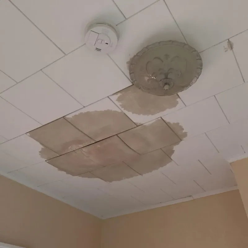 Ceiling Water Damage Repair in Randolph County, MO