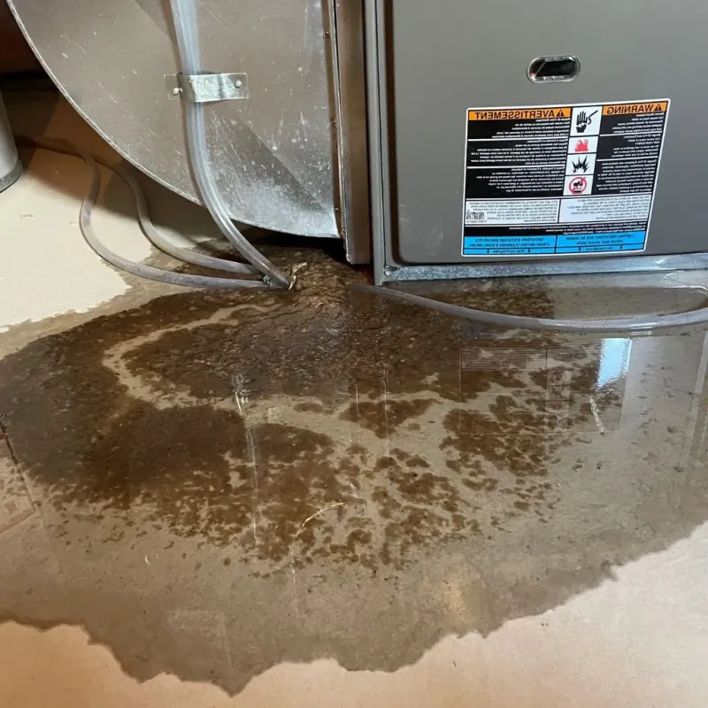 Pipe Burst and Leak Restoration in Randolph County, MO