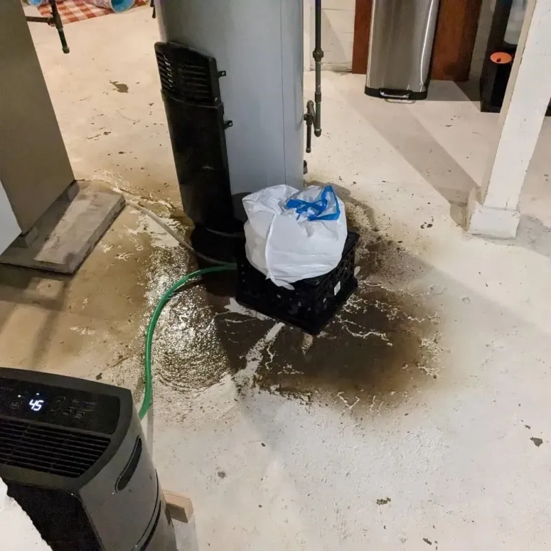 Sewage Backup Cleanup Service in Randolph County, MO